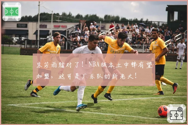 朱芳雨赌对了!NBA级本土中锋有望加盟,这可是广东队的新老大!