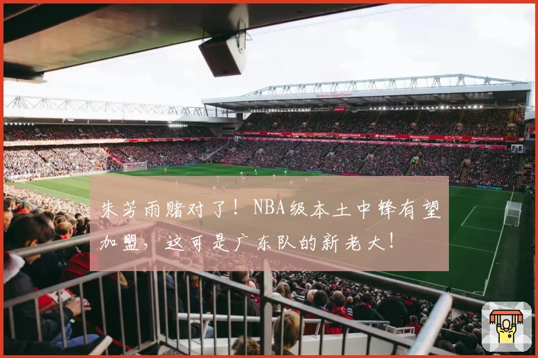 朱芳雨赌对了!NBA级本土中锋有望加盟,这可是广东队的新老大!