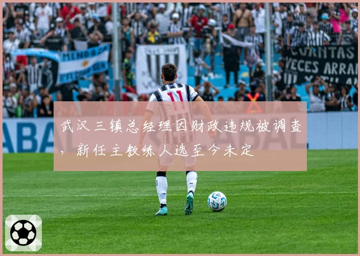 武汉三镇总经理因财政违规被调查，新任主教练人选至今未定