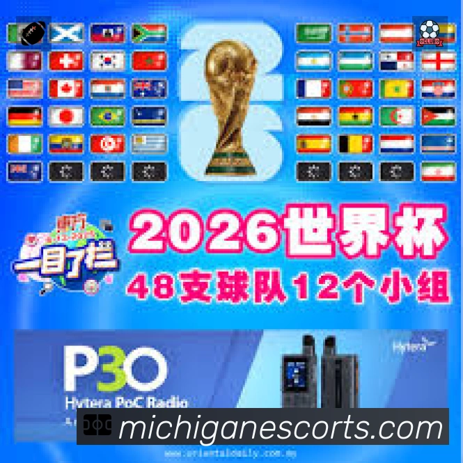 安全使用与支持流程